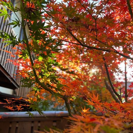 הוילה קיוטו Imakumano Terrace - Dohachi An 道八庵 מראה חיצוני תמונה